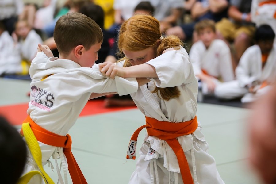 Martial arts summer competition event