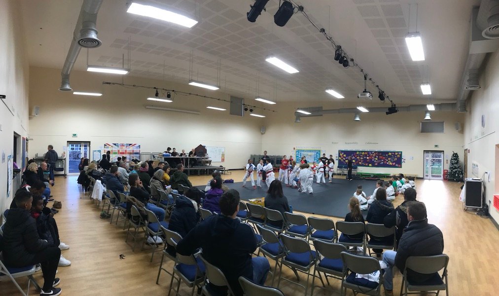 Children participating in martial arts mini assessment