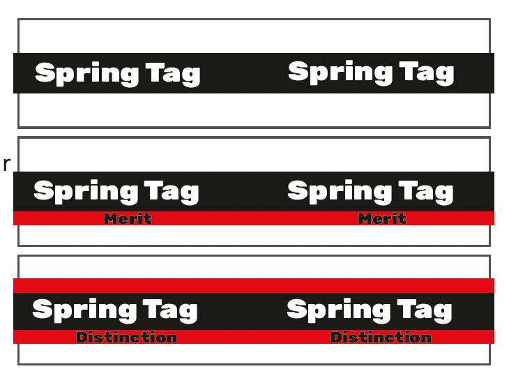 Martial arts belt tags