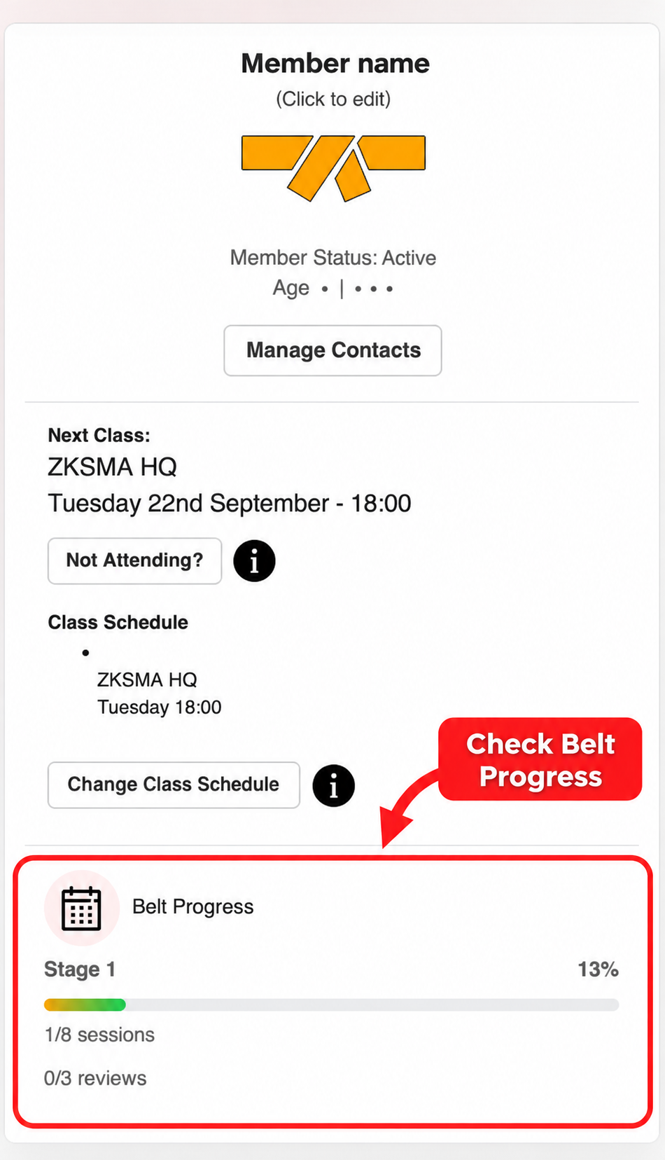 Anonymised member dashboard with Belt Progress highlighted: Stage 1, 13 percent, 1 of 8 sessions and 0 of 3 reviews.